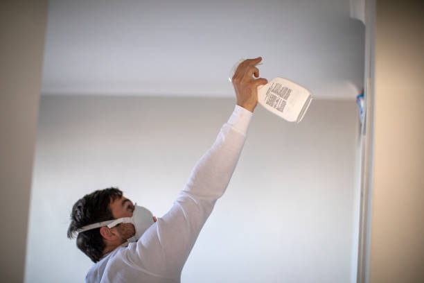 Best Certified Mold Removal  in Grandview, OH