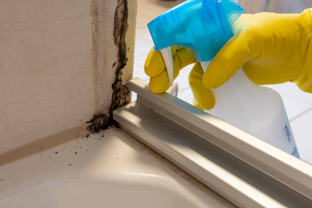 Best Residential Mold Removal  in Grandview, OH