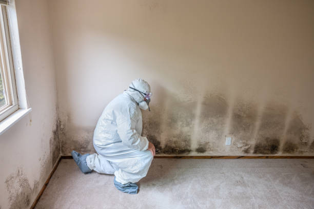 Best Mold Testing  in Grandview, OH